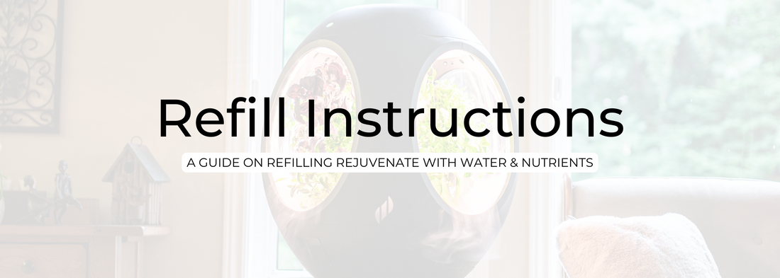 Instructions pour la recharge de Rejuvenate