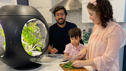 Family cutting veggies in front of their Rejuvenate Indoor Garden