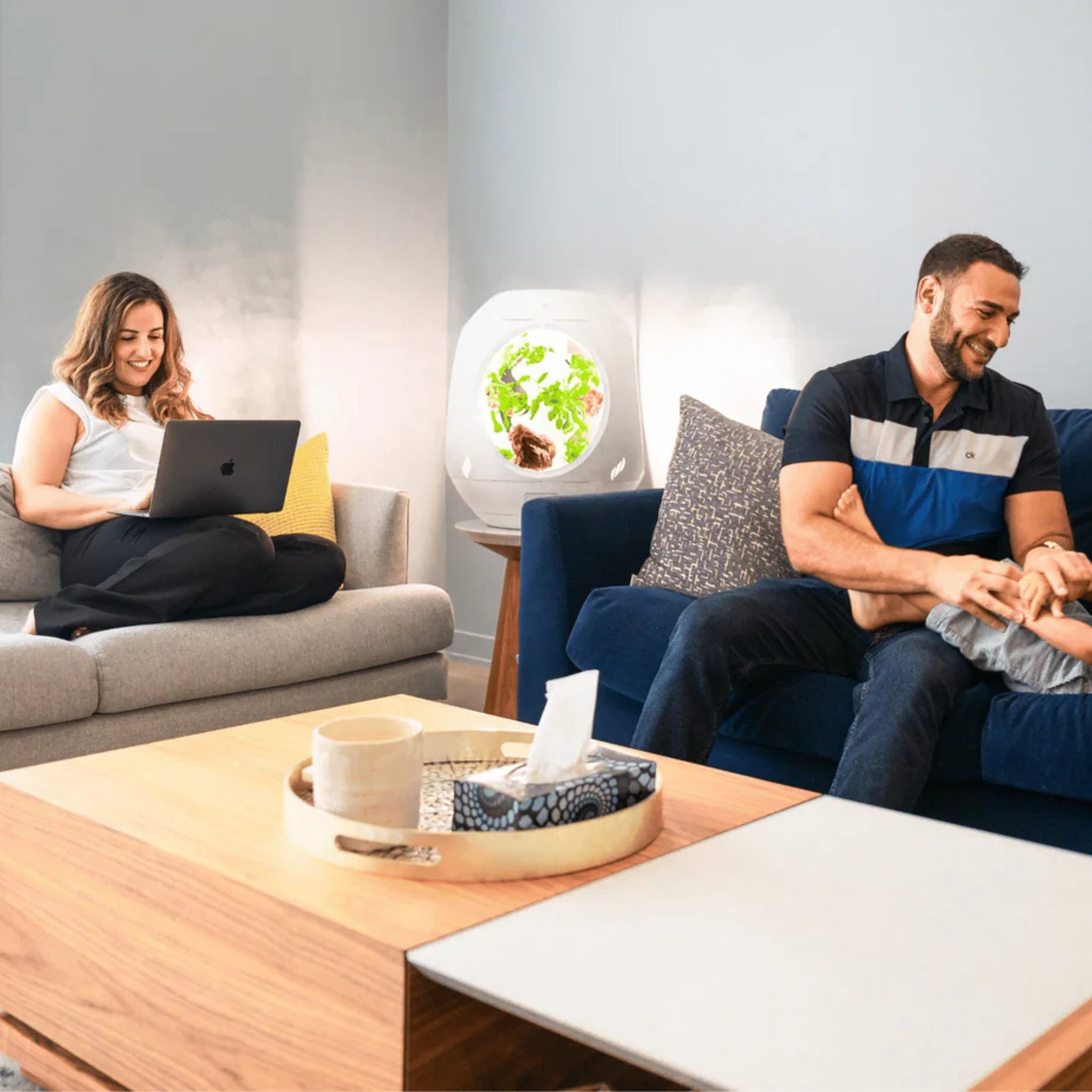 Smart Indoor Garden