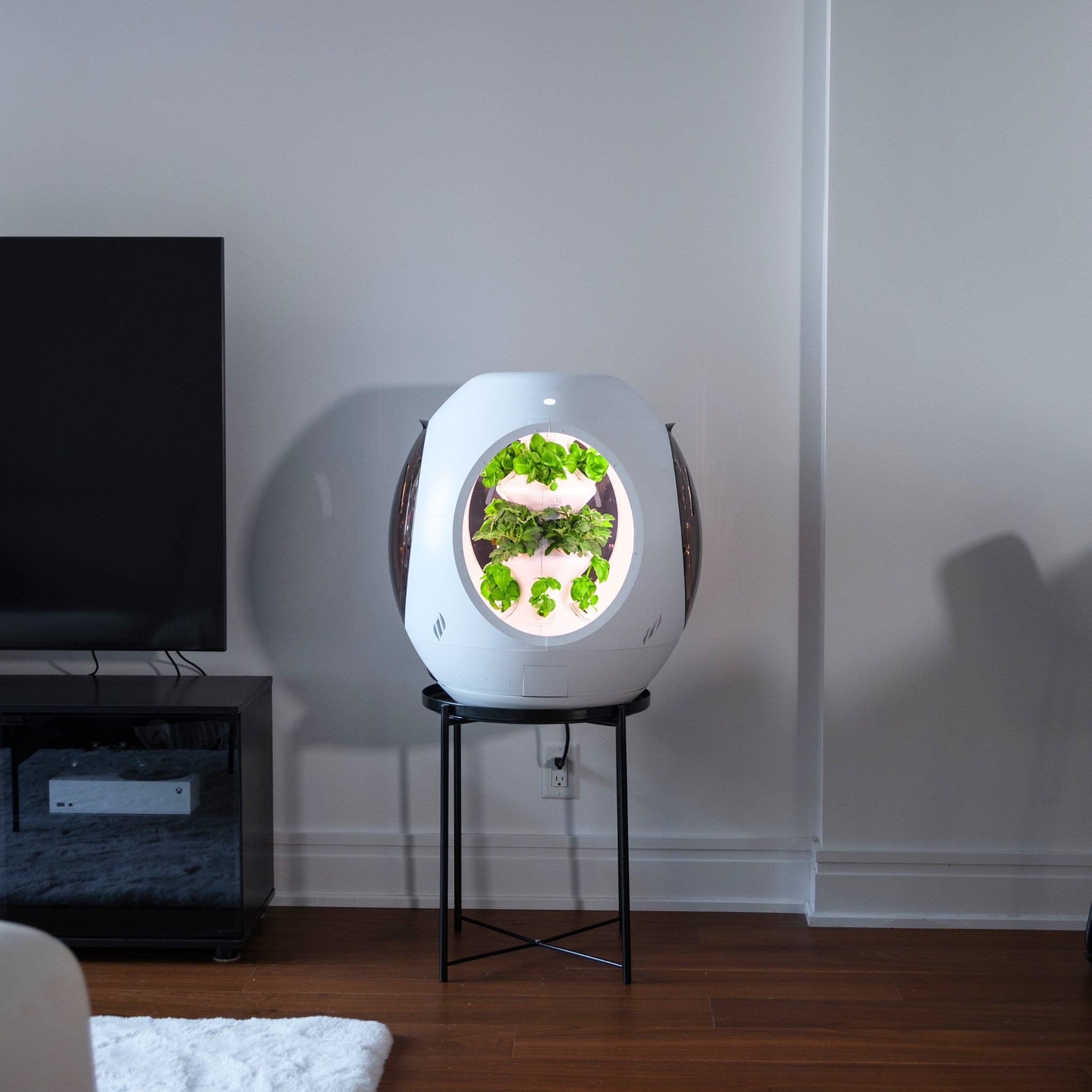 Smart Indoor Garden