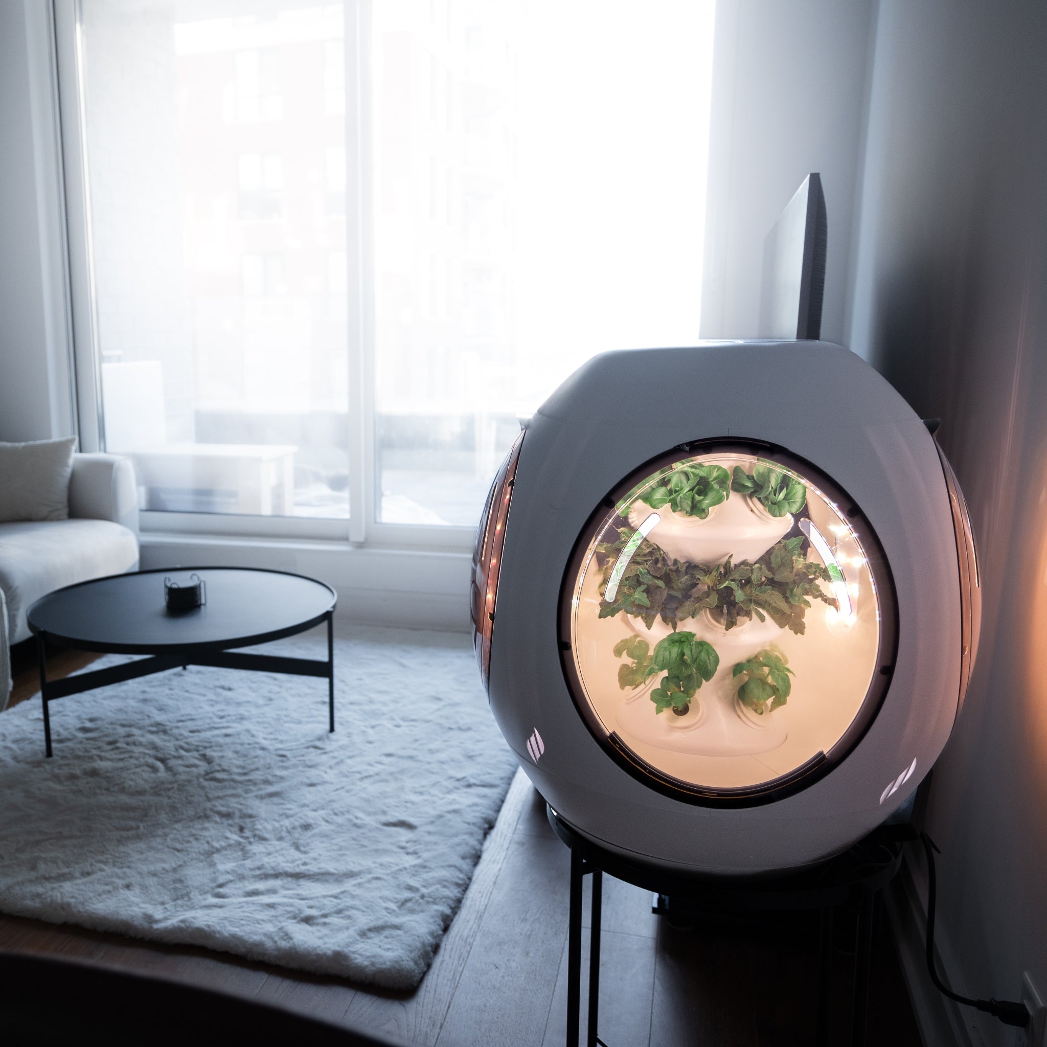 Smart Indoor Garden