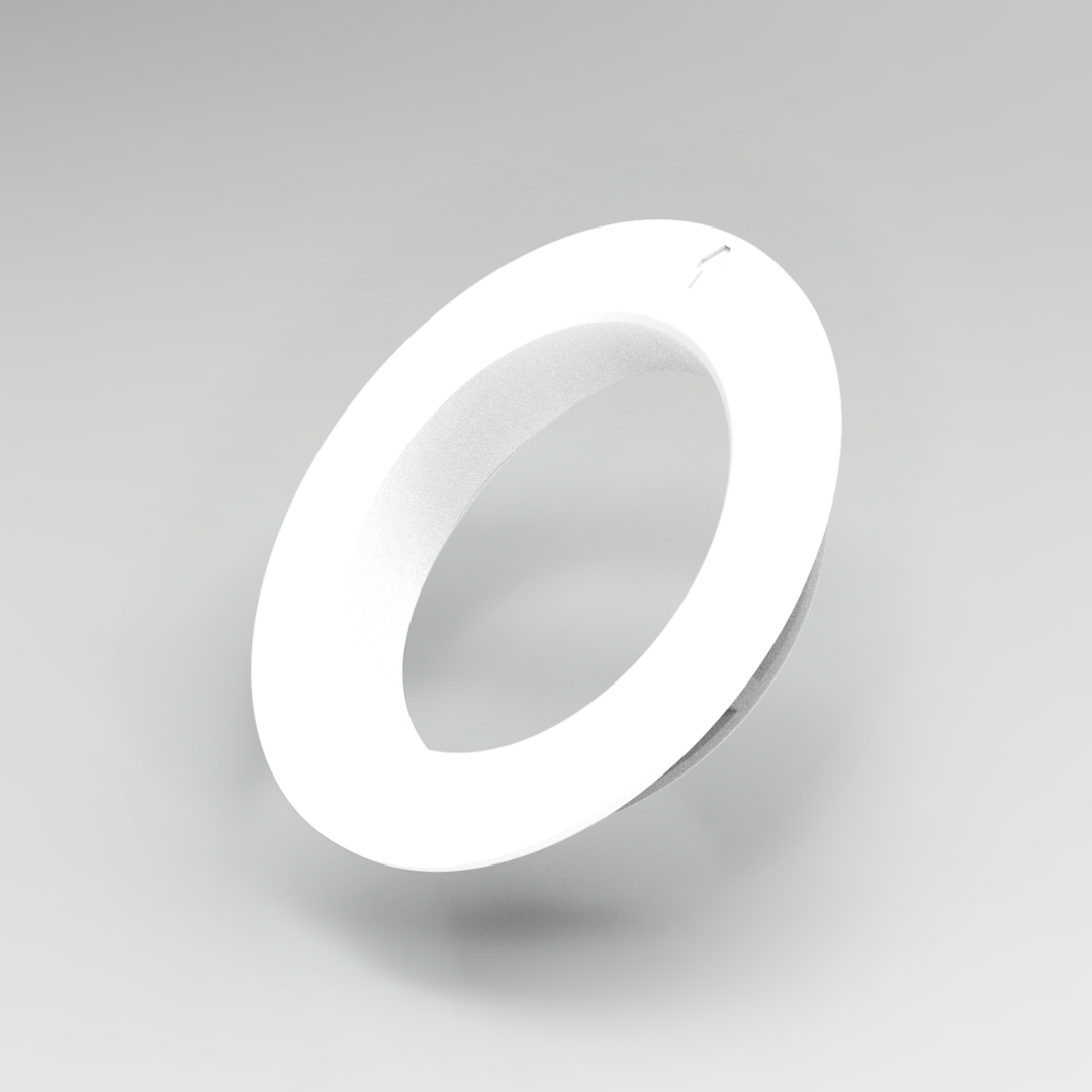 Une seule feuille verte sur fond blanc.