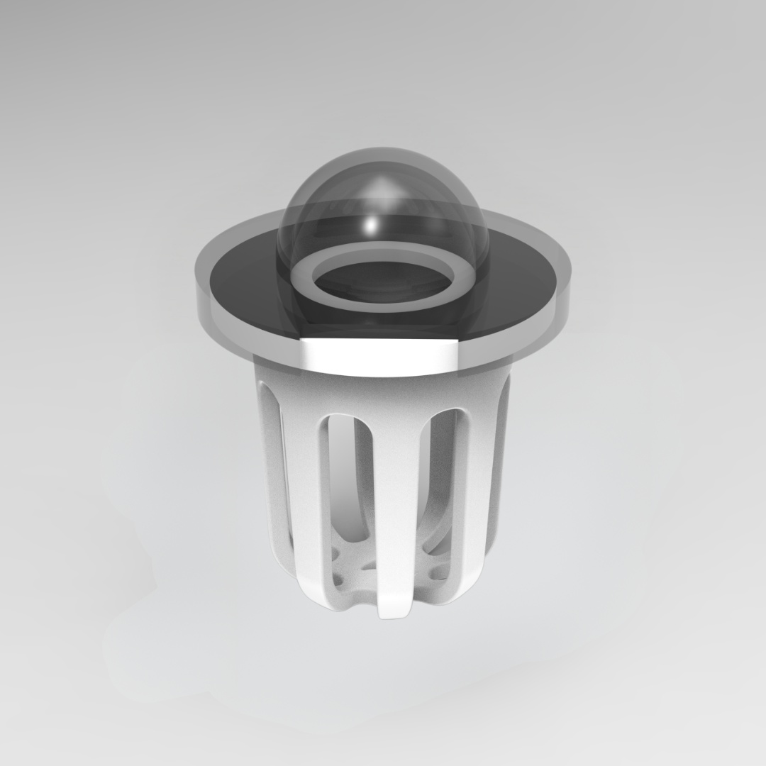 Une feuille de palmier dans un verre d'eau transparent sur fond blanc.