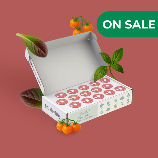 Mélange de Tomates Cerises