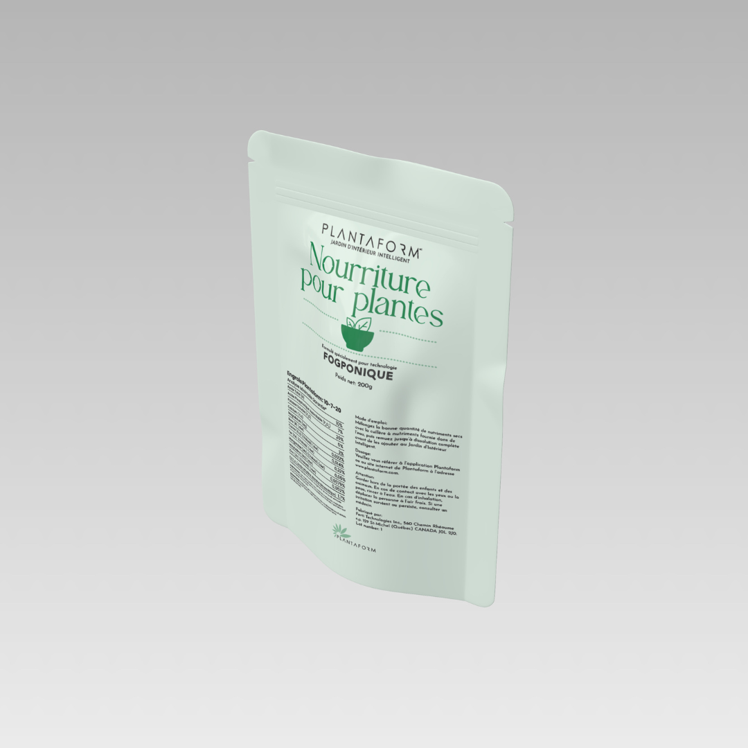 Green palm leaf beside blank white cards on a plain background.