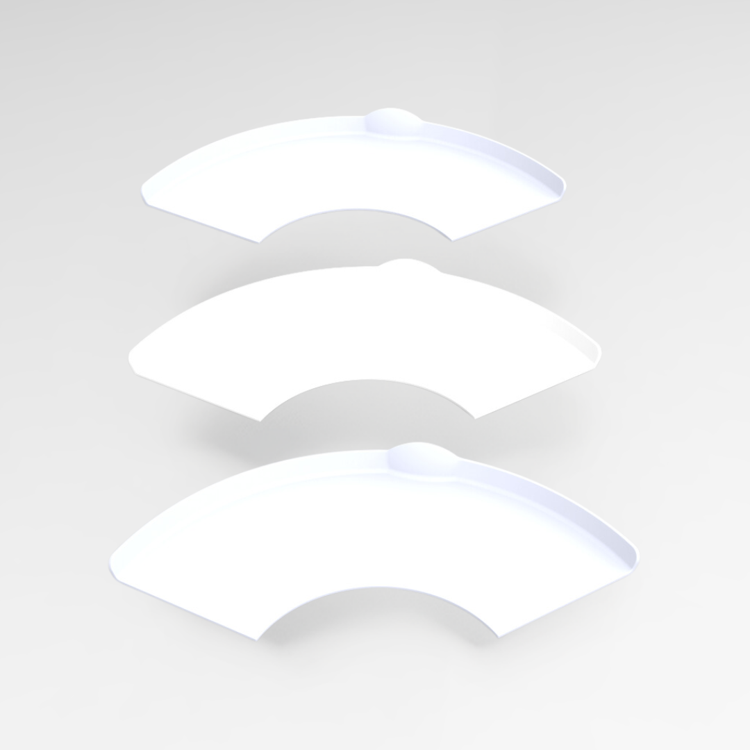 A single palm leaf in a clear glass of water on a white background.