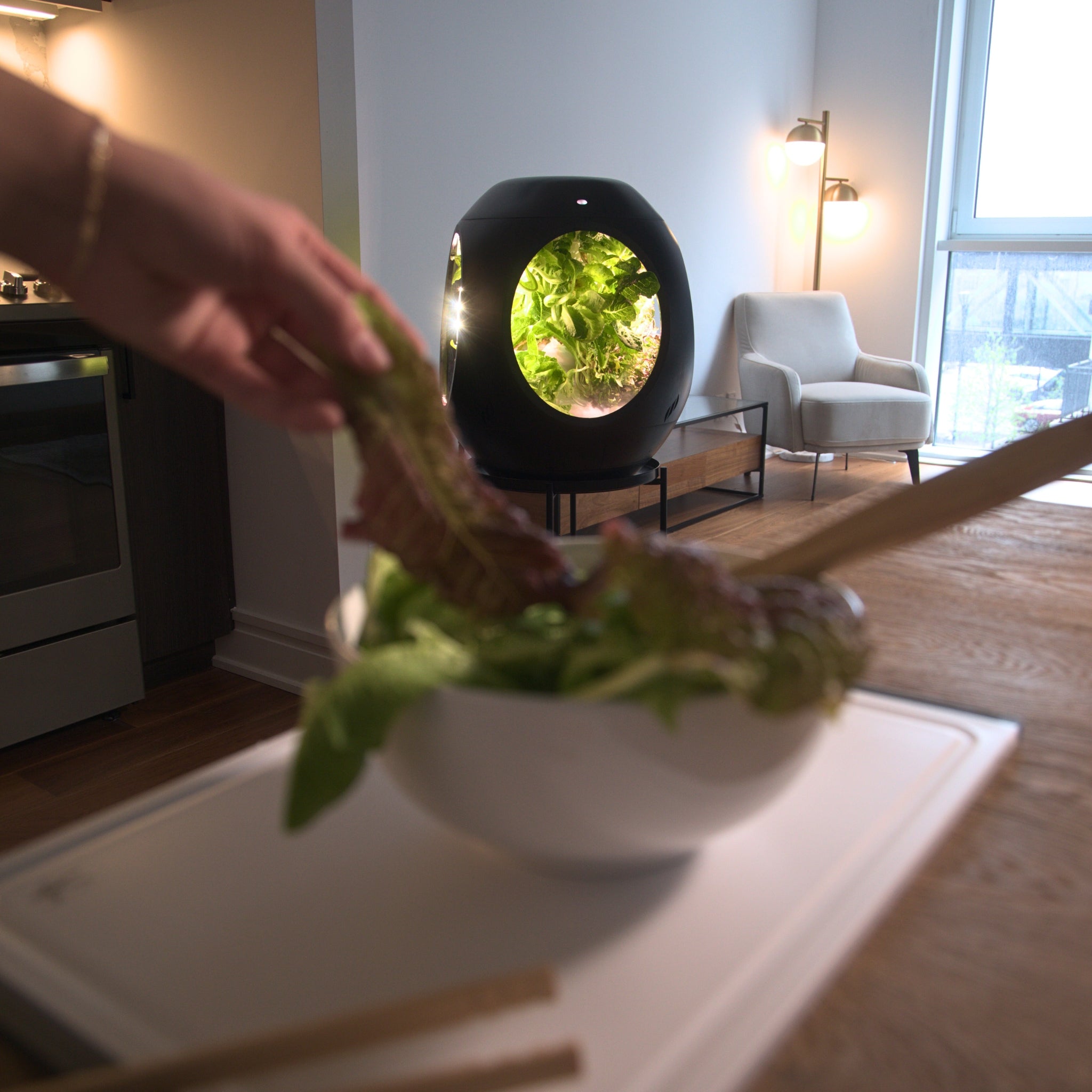 Smart Indoor Garden