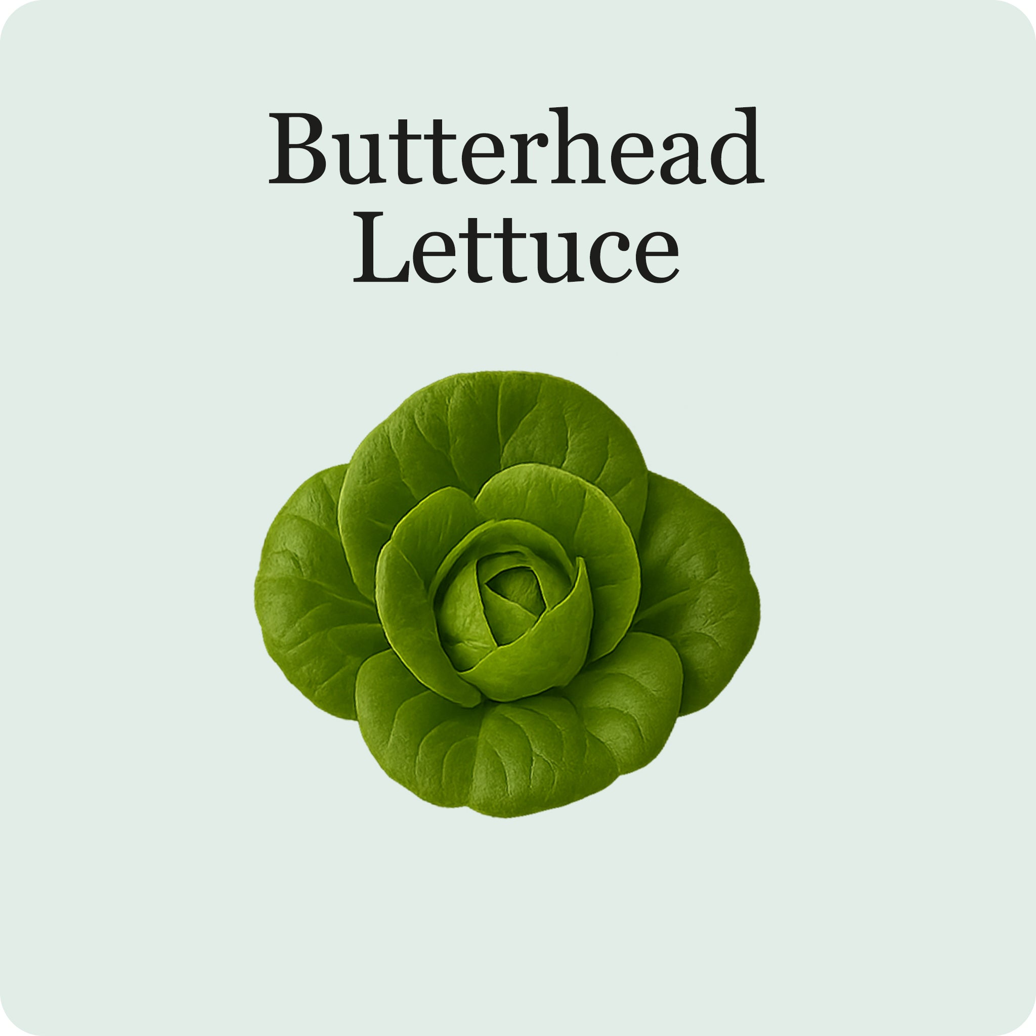 Leafy Mix