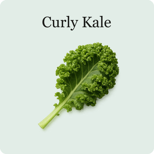 Mélange de chou frisé