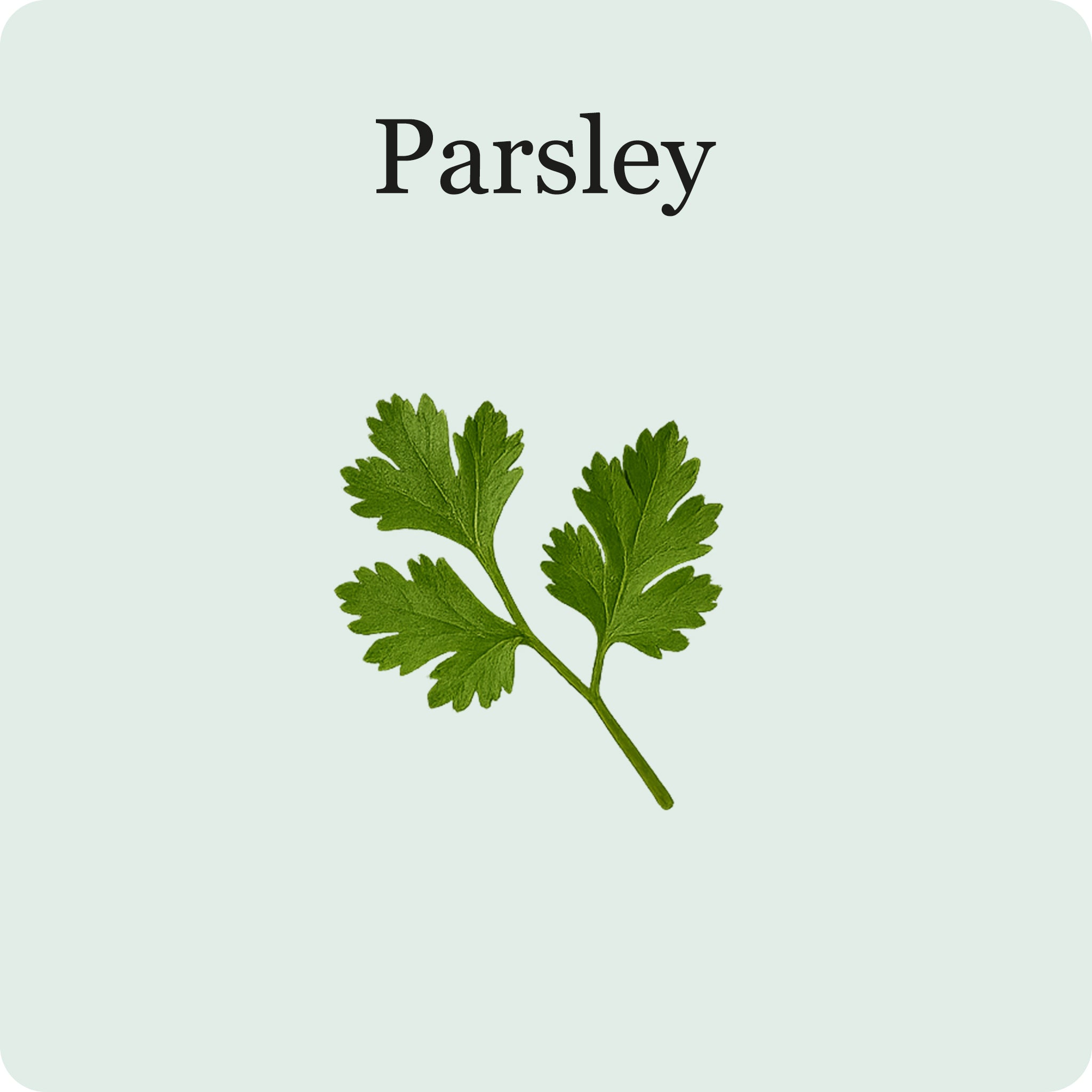 L'essentiel des Herbes