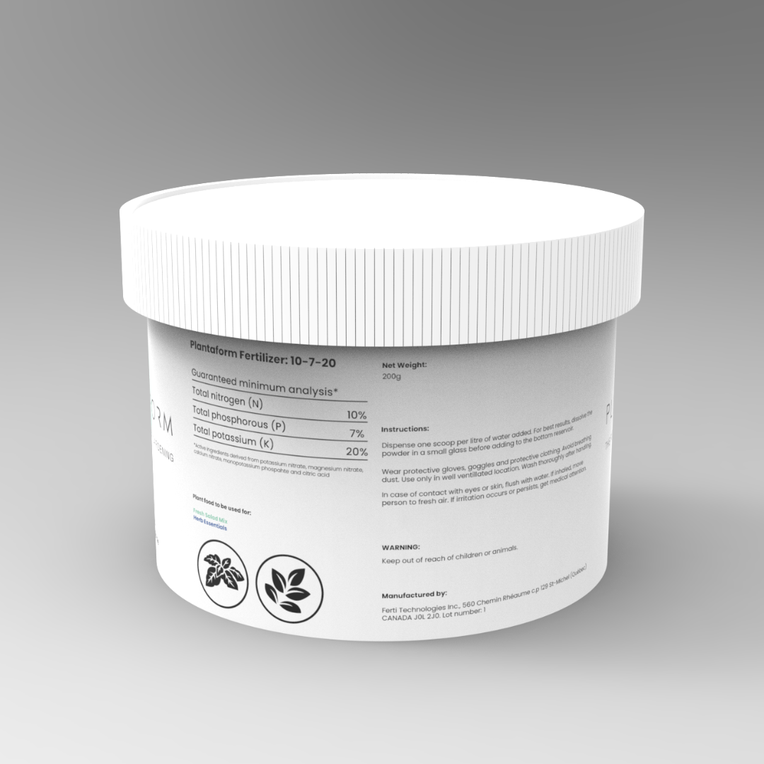 A single monstera leaf in a clear glass vase against a white background.