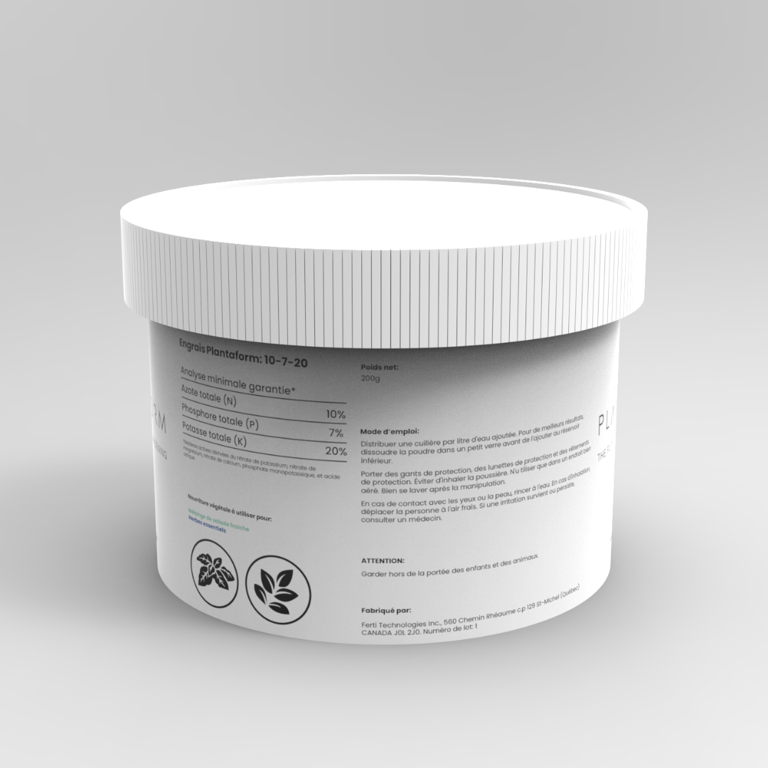 A single palm leaf in a clear glass of water on a white background.