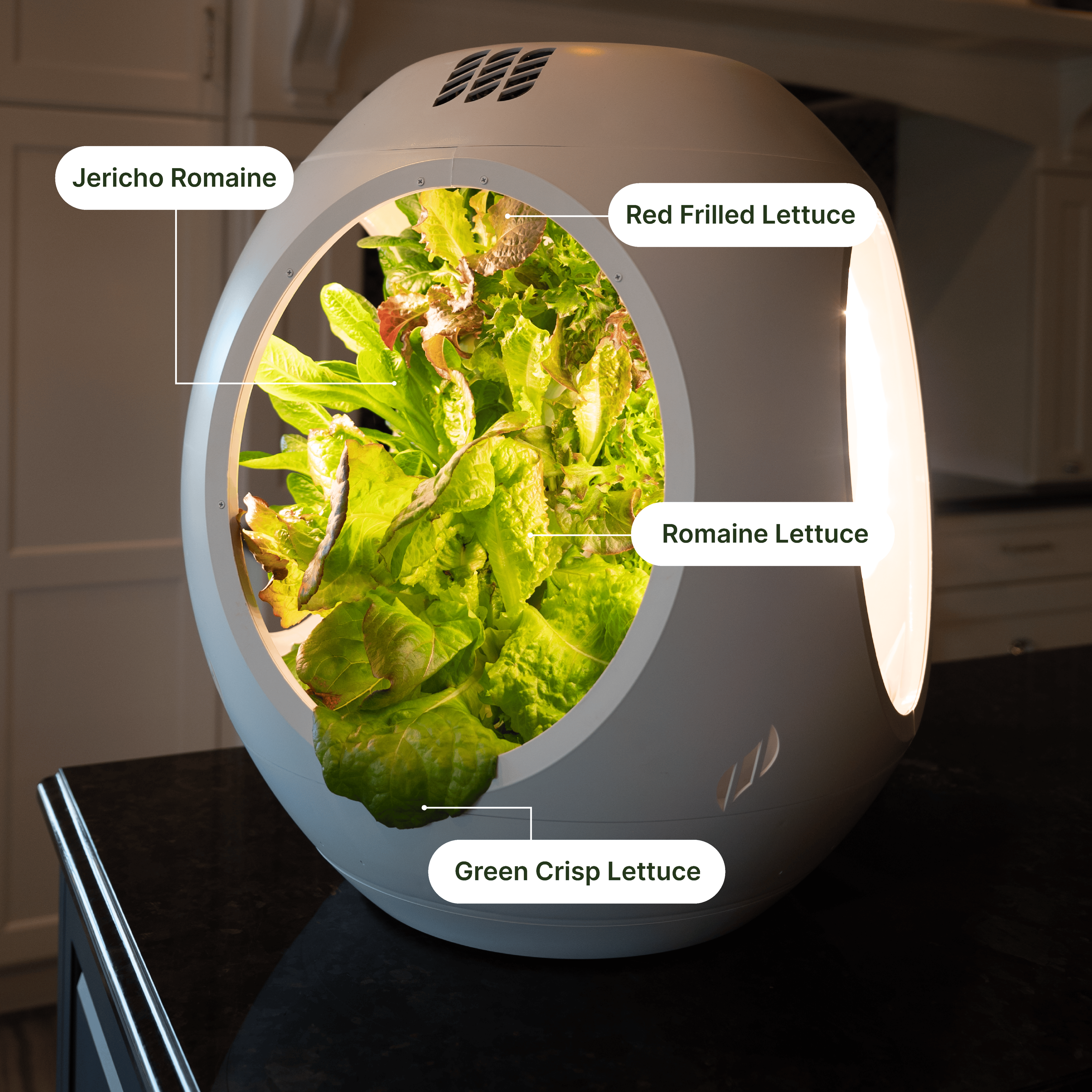 Smart Indoor Garden