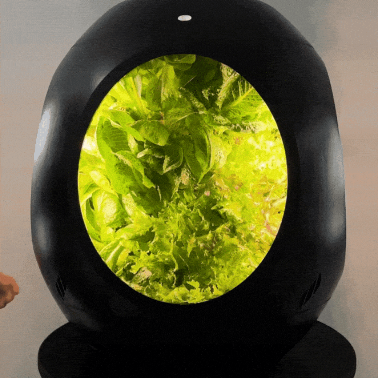 Smart Indoor Garden