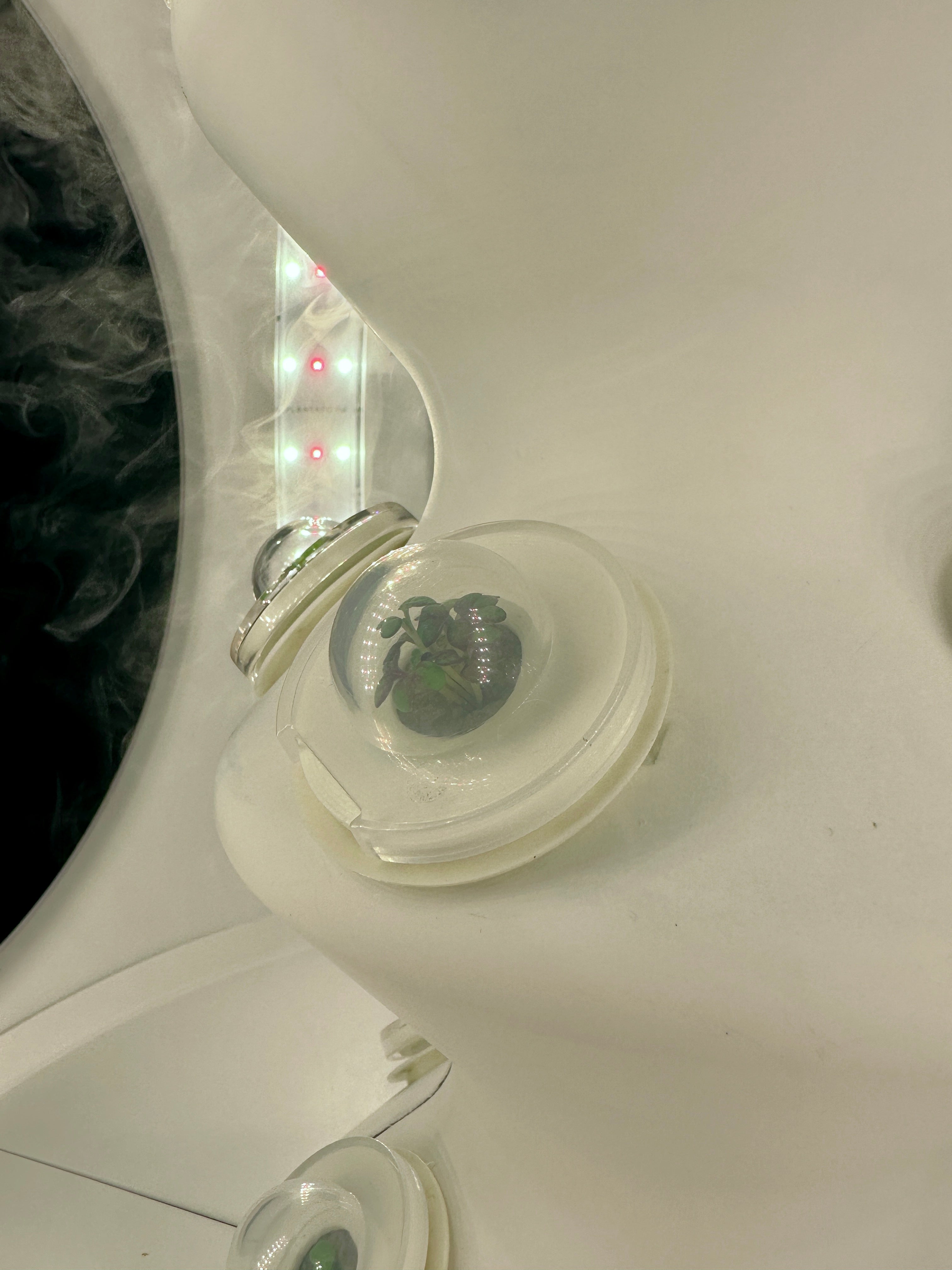 Feuilles de palmier vertes sur fond blanc.