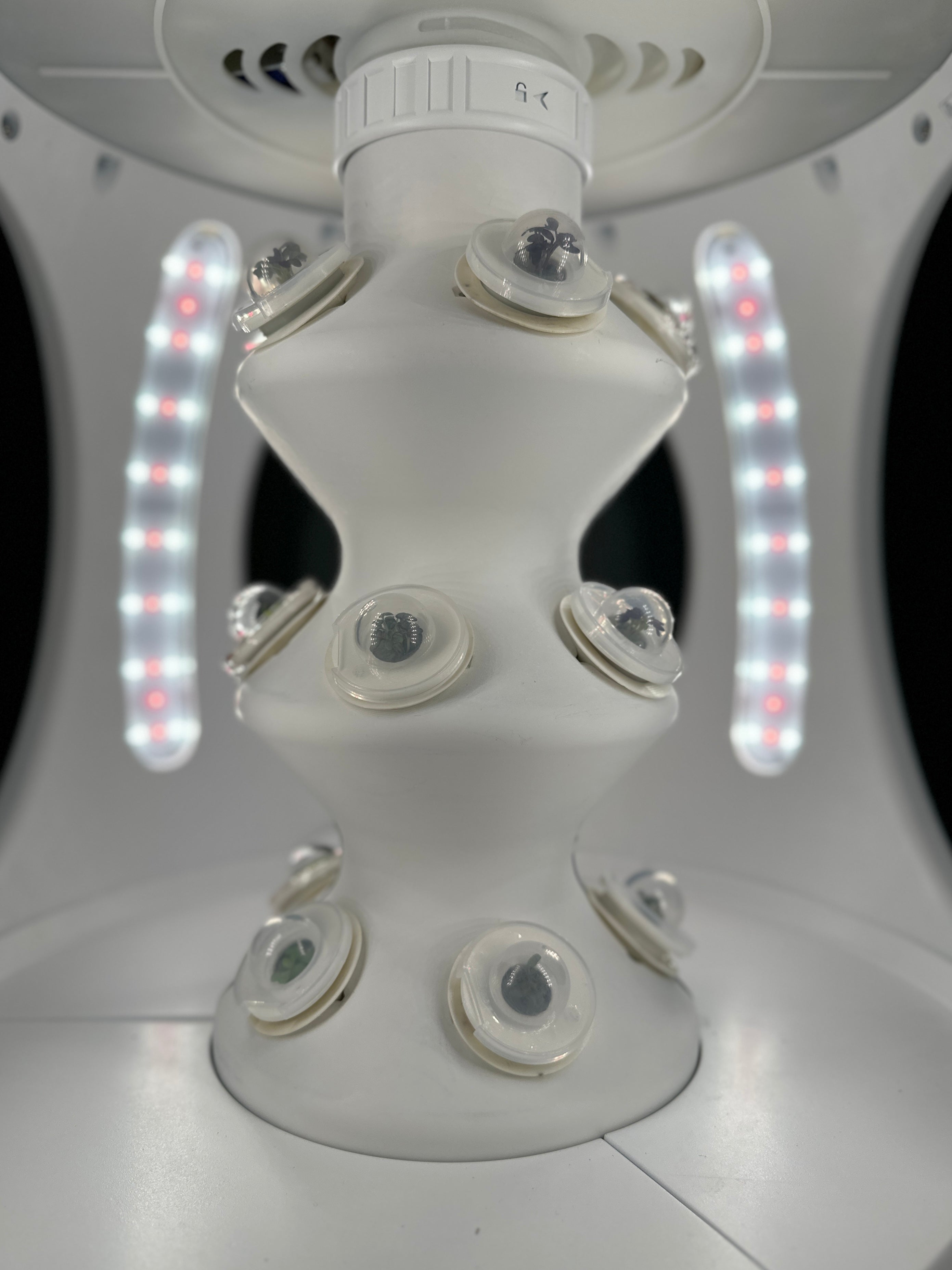 Green palm leaf beside blank white cards on a plain background.