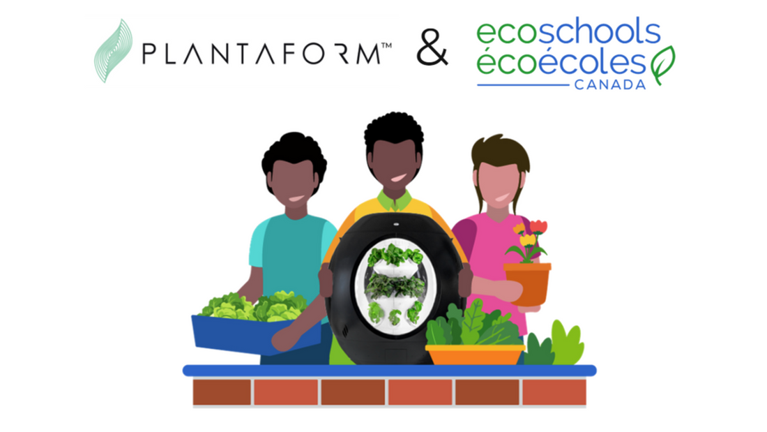 Plantaform Partners with EcoSchools Canada to Bring Indoor Gardening to Schools!