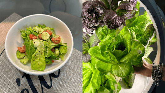 Plantaform Recipes: Avocado Caprese Salad 🥑🍅🥬