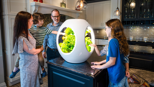 Why Fall Is Turning Into Peak Season for Indoor Gardens
