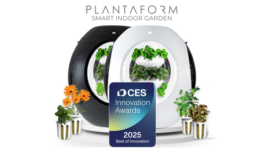 Plantaform Launches in the US: Wins CES Best of Innovation Award!