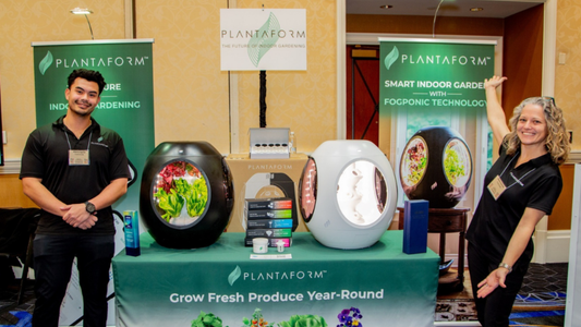 CES Best of Innovation, un an après