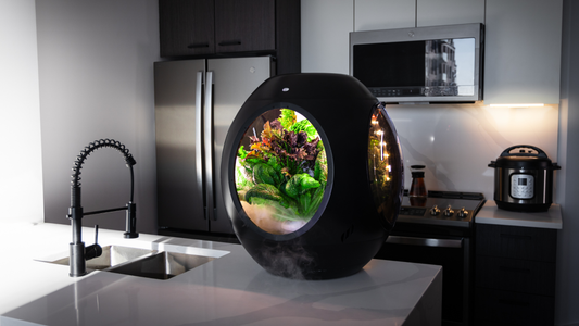 Voici Plantaform 3.0.