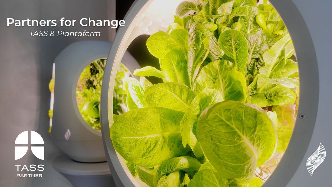 Plantaform and The Alliance for Sustainable Schools (TASS) Partner to Bring Innovative Indoor Gardening to UAE Schools