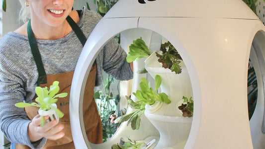 The Advantages of Smart Indoor Gardening Systems