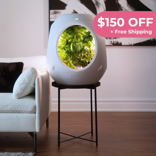 Smart Indoor Garden