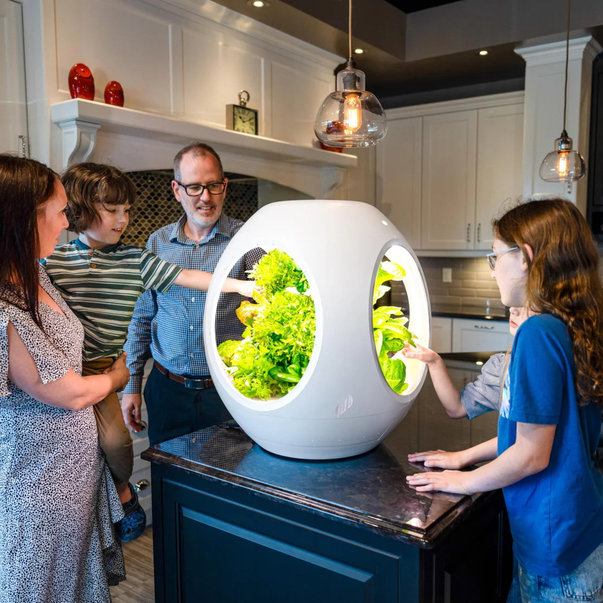 Smart Indoor Garden