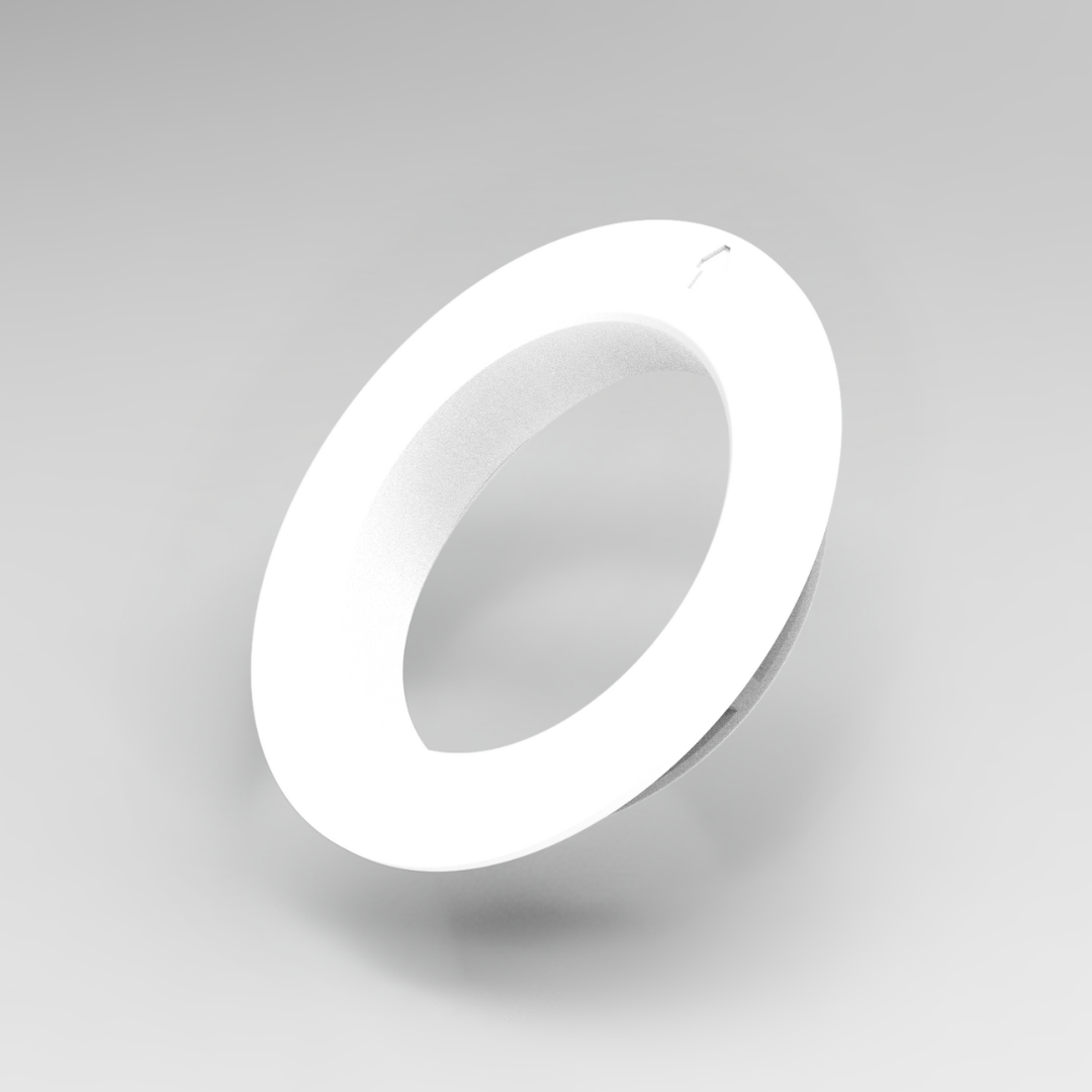 Une seule feuille verte sur fond blanc.