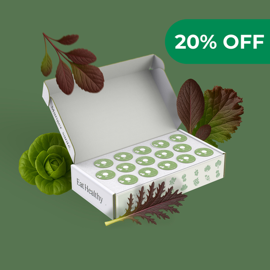 Mélange de Feuilles