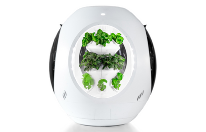 Smart Indoor Garden