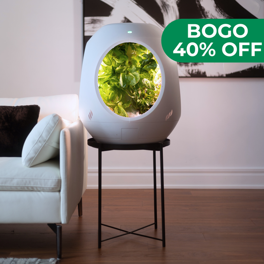 Jardin d'intérieur intelligent - Offre groupée BOGO