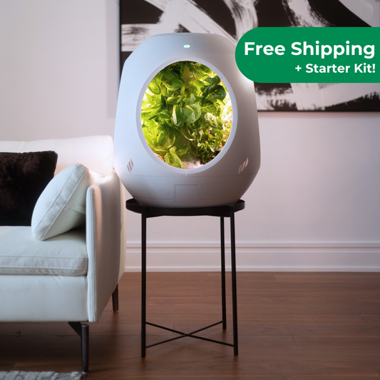 Smart Indoor Garden
