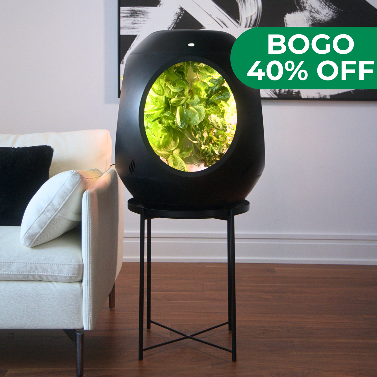 Jardin d'intérieur intelligent - Offre groupée BOGO