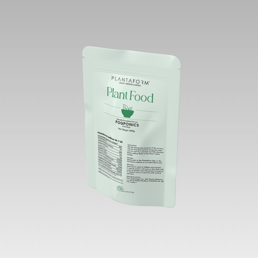 Une seule feuille de monstera dans un vase en verre transparent sur fond blanc.