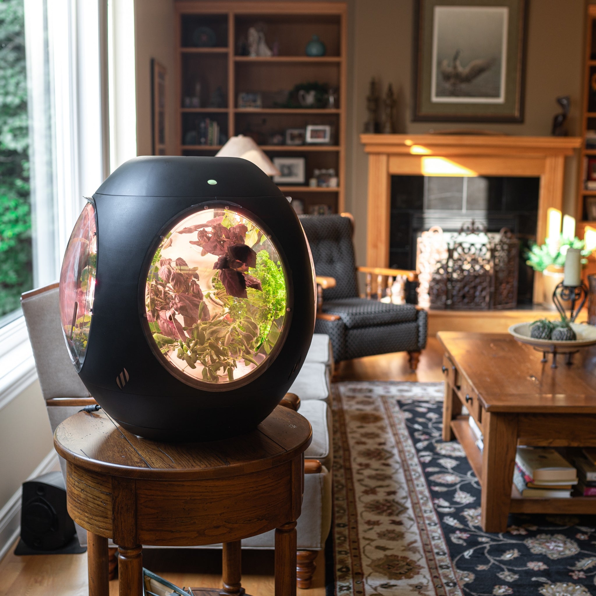 Smart Indoor Garden