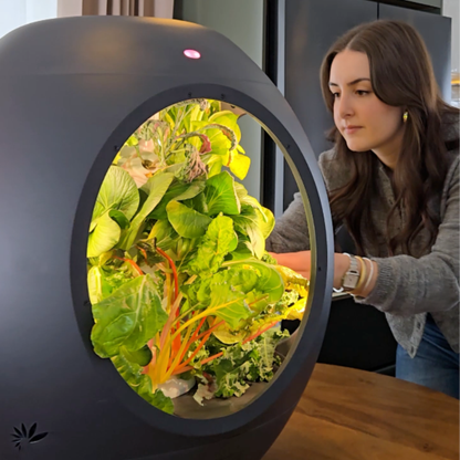 Smart Indoor Garden - BOGO Bundle