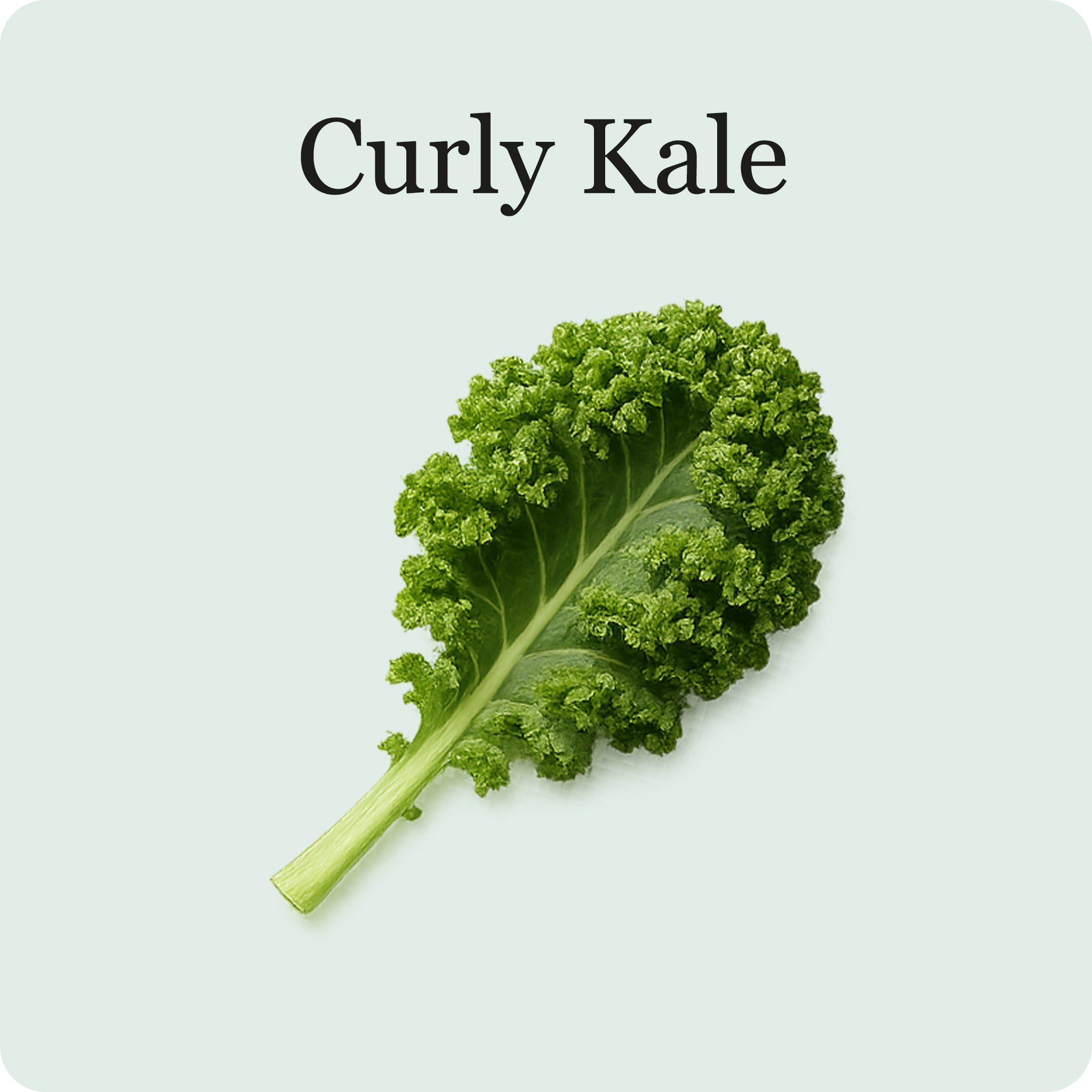 Kale Mix