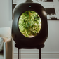 Smart Indoor Garden