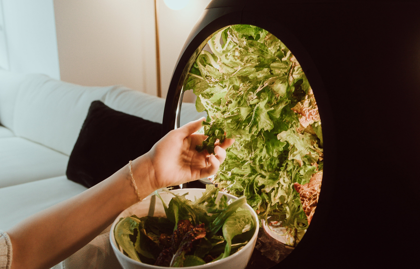 Smart Indoor Garden