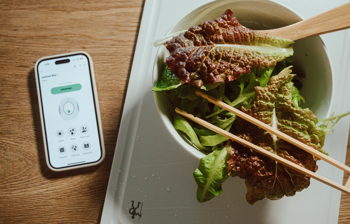 Smart Indoor Garden