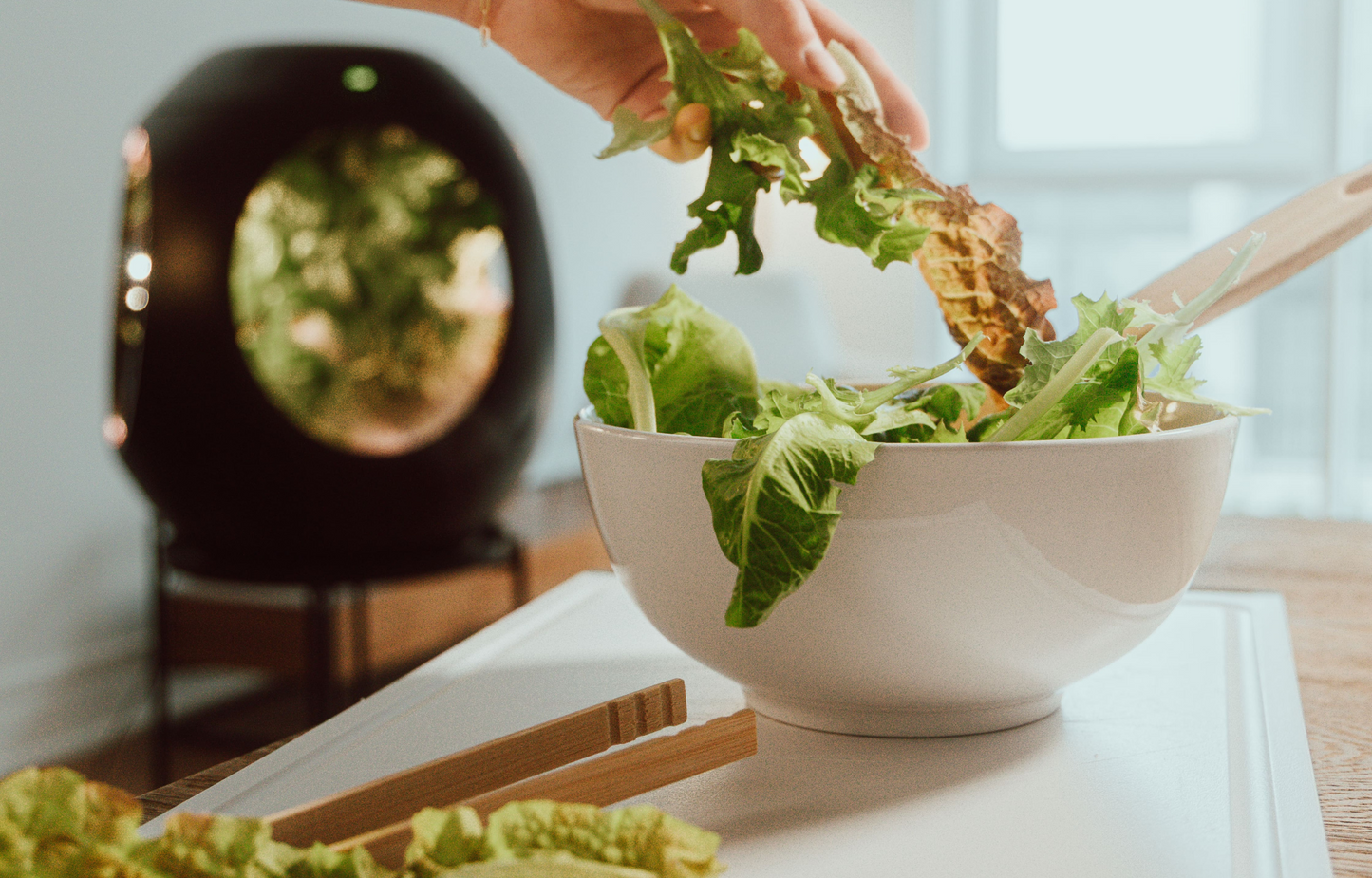 Smart Indoor Garden