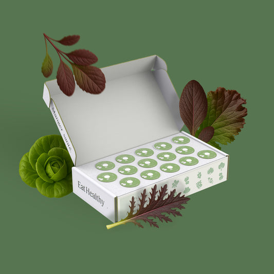 Mélange de Feuilles