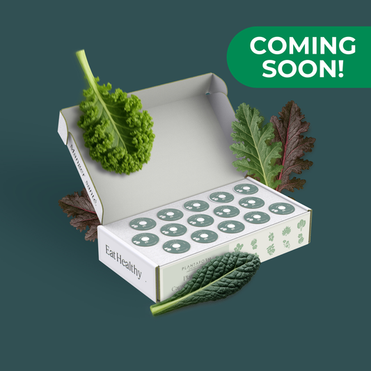 Mélange de chou frisé