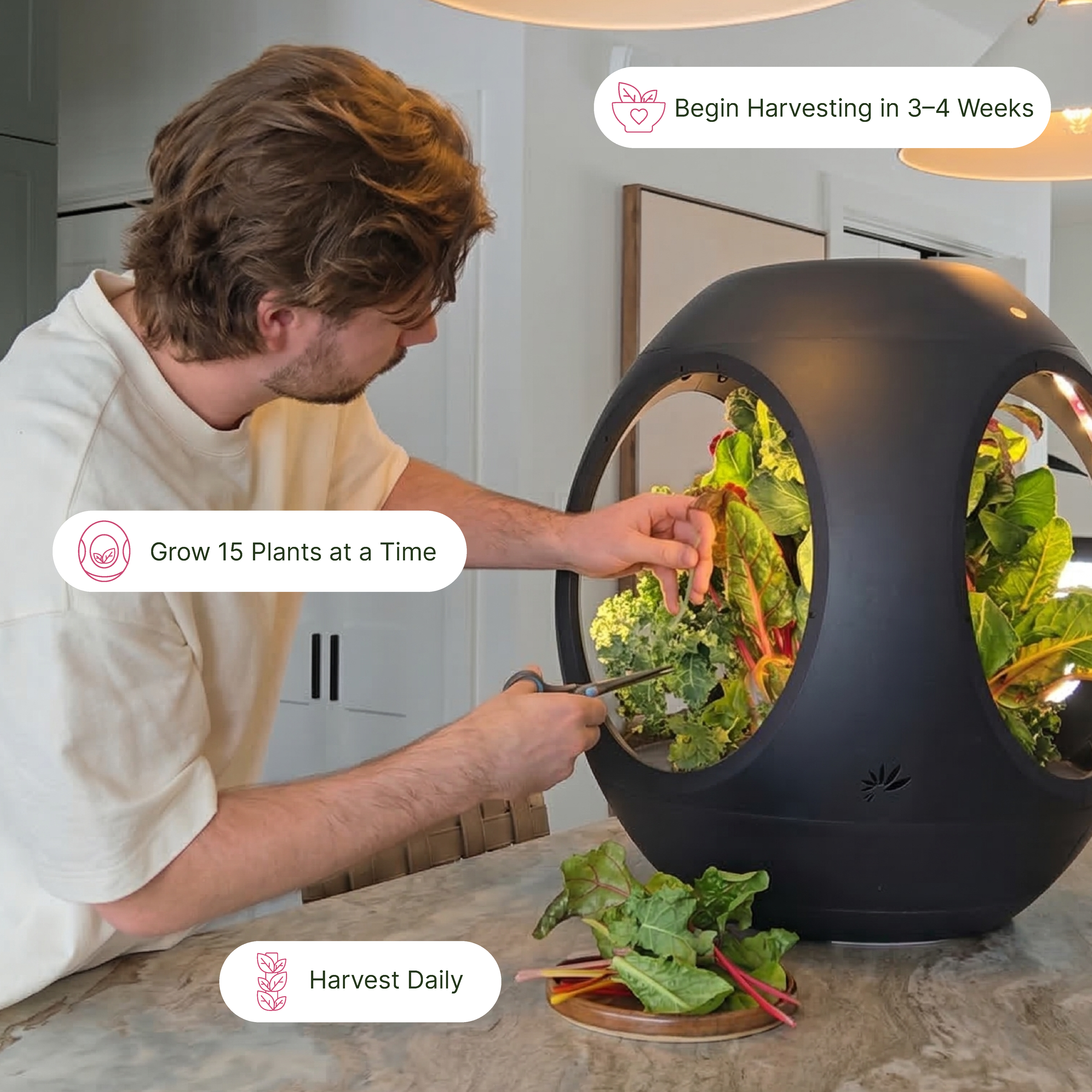 Smart Indoor Garden
