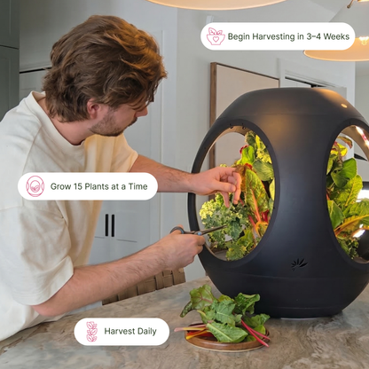 Jardin d'intérieur intelligent - Offre groupée BOGO