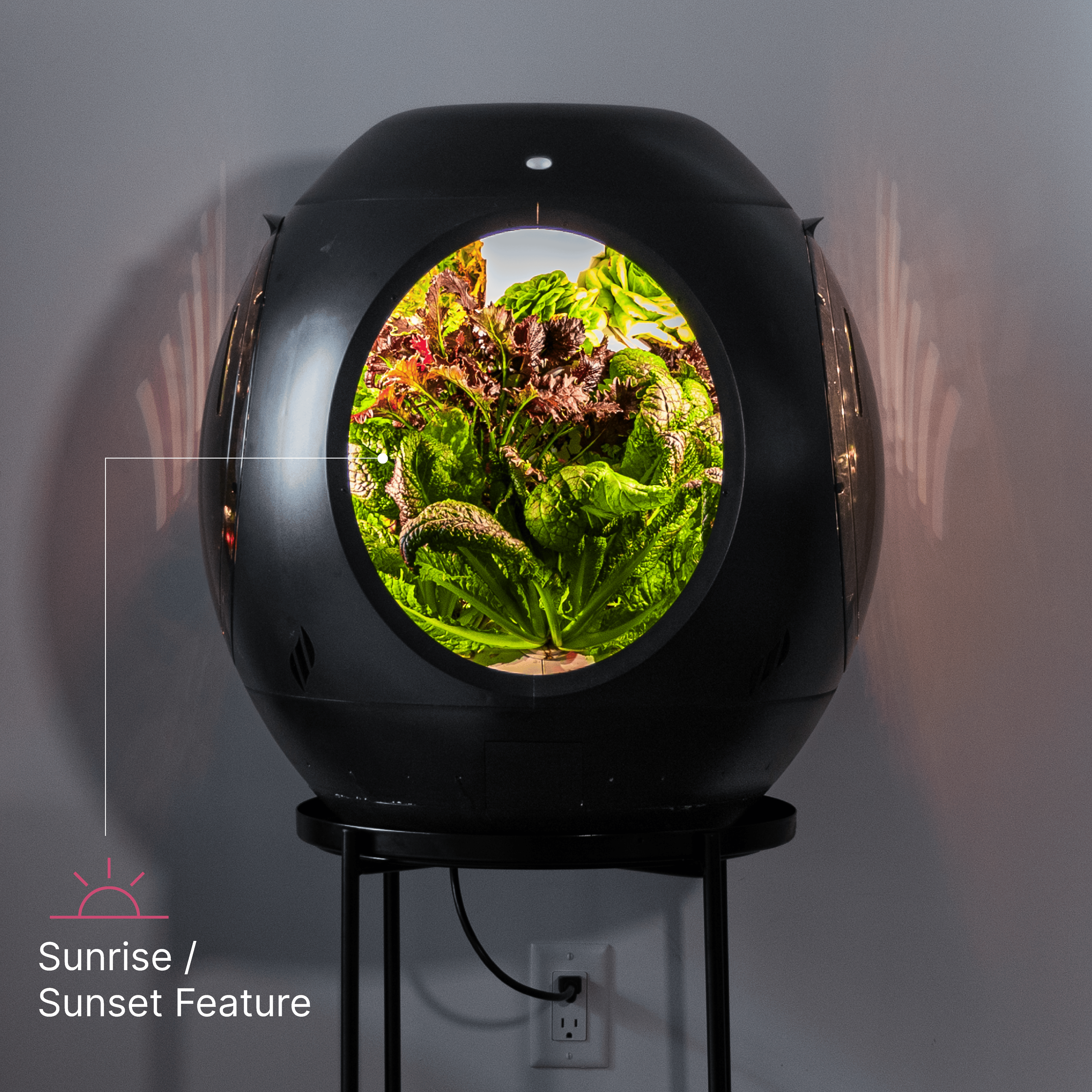 Smart Indoor Garden
