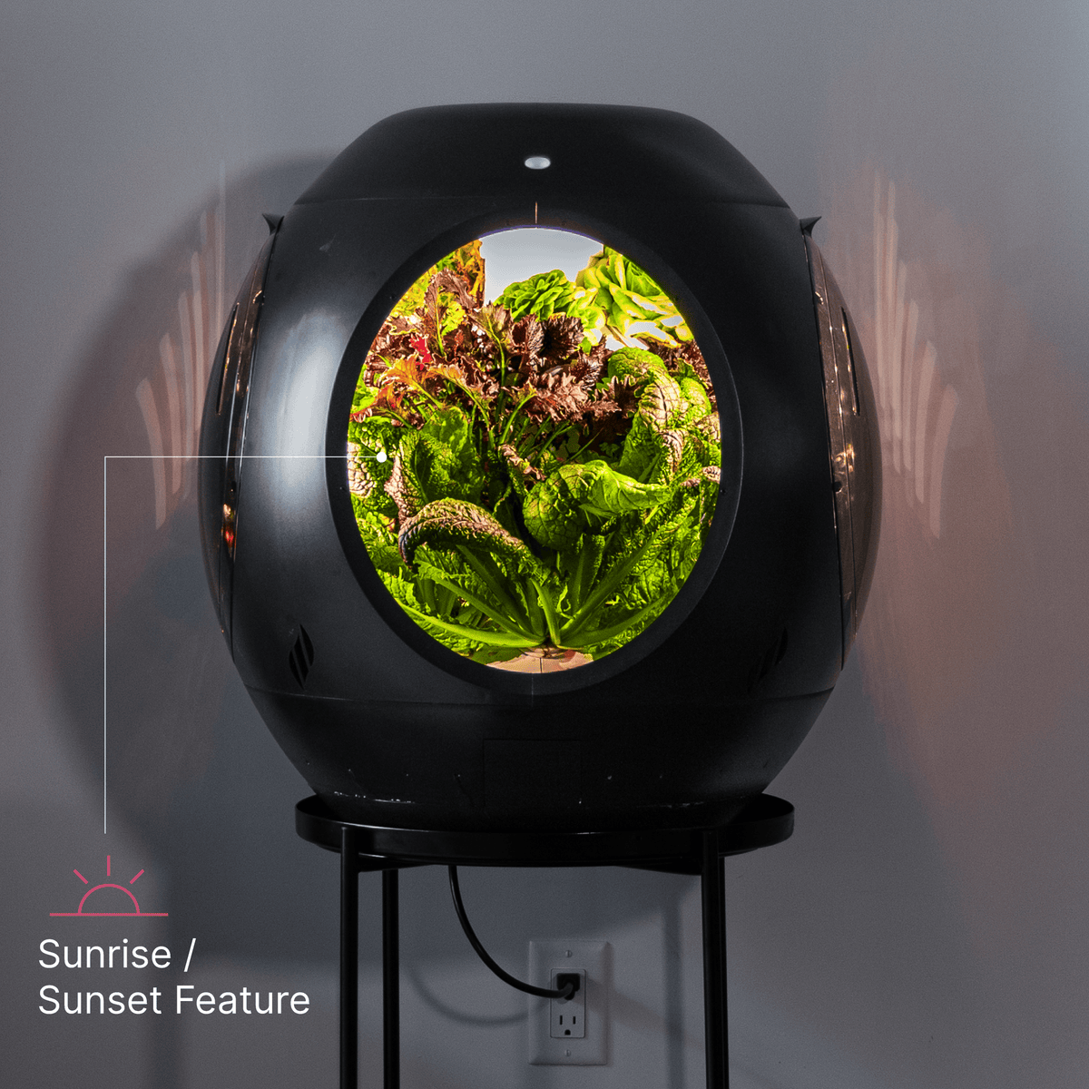 Jardin d'intérieur intelligent - Offre groupée BOGO